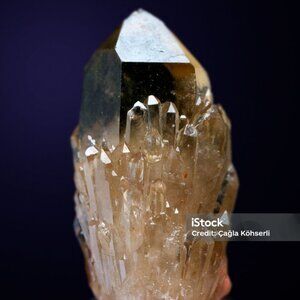 Sign in Listing to Join the Crystal Train on Friday's